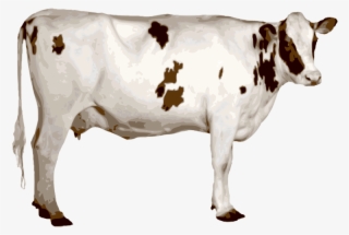 Mad Cow Roblox Cow Png Image Transparent Png Free