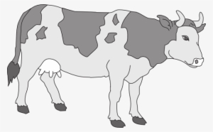 Gray Colored Cow Svg Clip Arts 600 X 373 Px