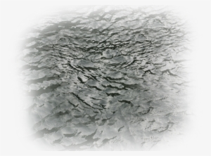 06 Feb 2009 - Water Texture Photoshop