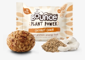 Plant Protein, Vegan Energy Balls - Bounce V Life Coconut Cumin Ball (12 X 40g)