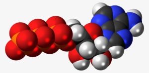 Adenosine Triphosphate Anion 3d Spacefill - 3d Model Of Atp Molecule