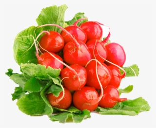 Radish Png Free Commercial Use Image - Vegetable