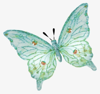 2381 X 2241 4 - Tiny Butterfly Png