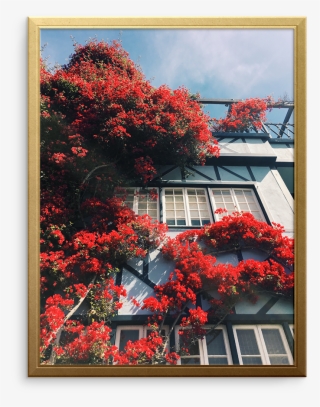 Picture Frame
