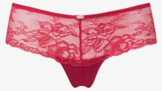 Swimwear Size Chart - Panties Transparent PNG - 2462x2554 - Free Download  on NicePNG
