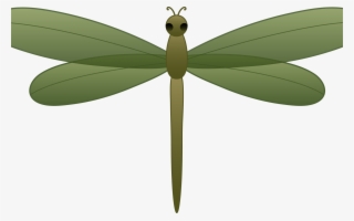Dragonfly Clipart Drawing - Clip Art