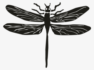 Dragonfly - Dragonflies And Damseflies