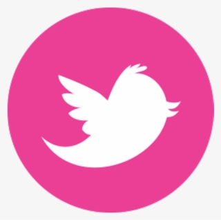 Twitter Logo Png Pink