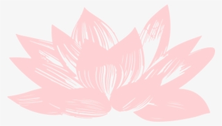 Boton-twitter - Sacred Lotus