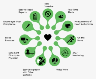 All Capabilities Of The Cardiacsense Watch - Role Of A Teacher Librarian Diagram