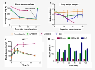 Fasting Blood Glucose Levels Indicate That Mice In - Diagram