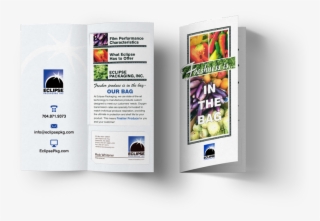 Graphic Design For Brochure For Eclipse Packaging Inc - Flyer