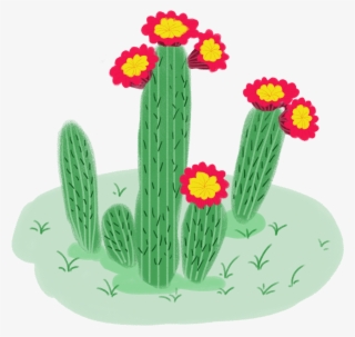 Planta Fresco Caricatura Mão Png E Psd - Hedgehog Cactus