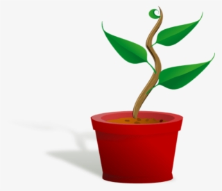 Download Plant Clip Art - HD Transparent PNG - NicePNG.com