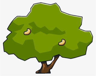 Cashew Tree