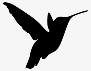 Download Png - Hummingbird Stencil