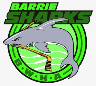 Barrie Green