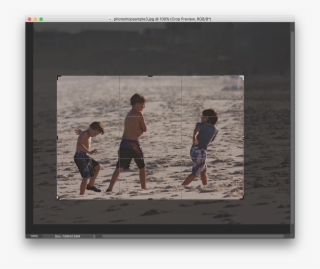 Sample Crop