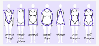 Body-shapes - Body Shapes
