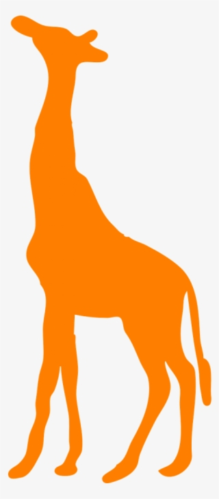 Up,orange,free Vector Graphics - African Giraffe Silhouette