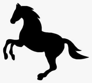 Horseback Riding - Horse Icon Png