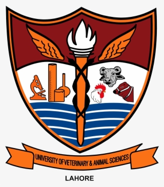 University Of Veterinary And Animal Sciences Logo
