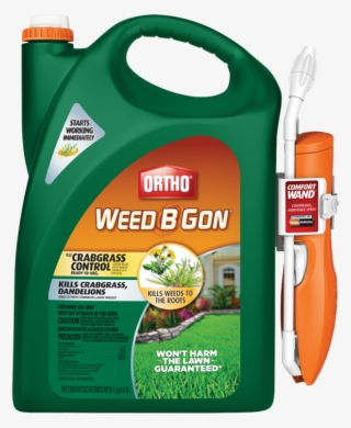Transparent Product Packshot - B Gon Weed