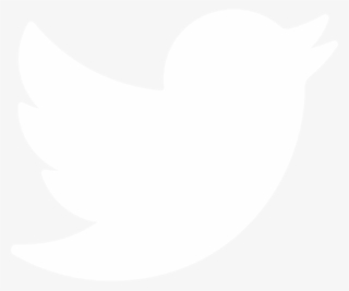 Twitter Transparent Logo White