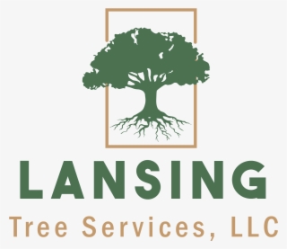Lansing Tree Services - Tree
