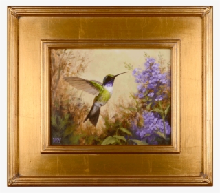 Mary Kay West Violet-throated Hummingbird - Ruby-throated Hummingbird
