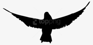 Bird Silhouette Png - Transparent Background Raven Silhouette