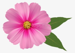 Free Png Download Pink Flower Png Images Background - Pink Flower Png