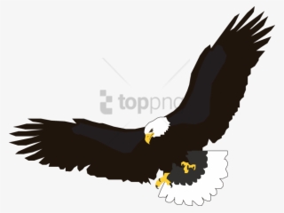Free Png Download Eagle Flying Png Images Background - Clip Art Soaring Eagle