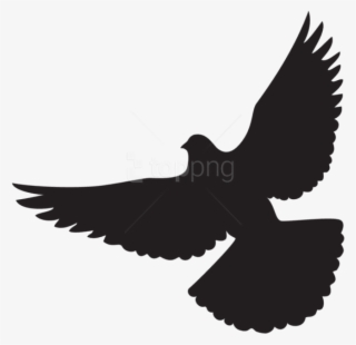 Free Png Dove Silhouette Png Png - Dove Silhouette Png