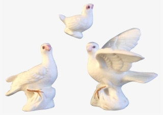 Bone China Miniatures White Dove Bird Family Set Vintage - Figurine
