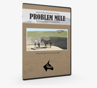 My Cart - Protassov Shalina Music