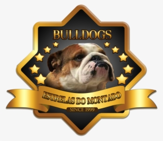 Bulldog Inglês - Illustration