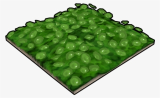 Green Flower Bed - Grass