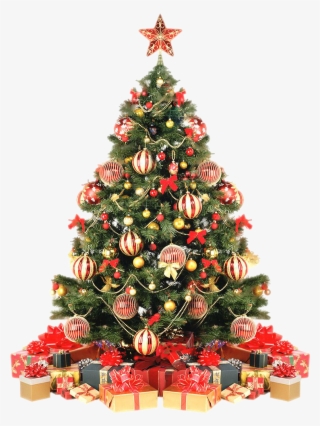 Árvore De Natal 12 - Christmas Tree Decorated With A White Background Transparent  PNG - 746x1003 - Free Download on NicePNG