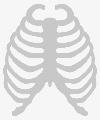 Herniated Disc - Esqueleto Pecho Png