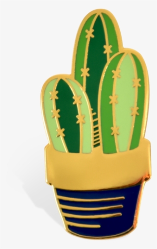 Cactus Transparent One - Kaktüs Rozet