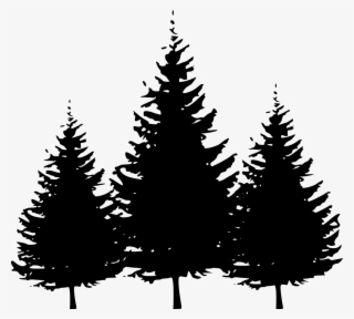 Download Png - Winter Trees Silhouette Vector