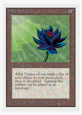 4 Jun - Sacred Lotus