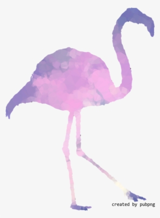 Pink M, Beak, Bird, Low Poly Transparent Png Image - Greater Flamingo