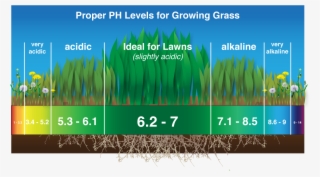 Ph Adjustments - Grass