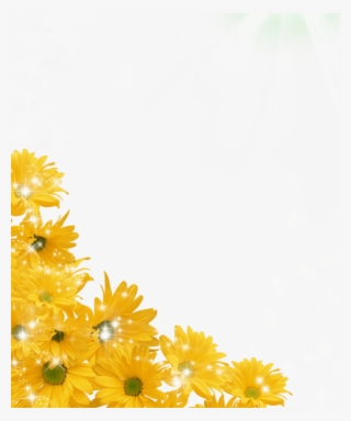 Transparent Background Sunflower Clipart Sunflower Transparent Png