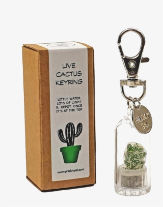 Cactus Keyrings - Cactus