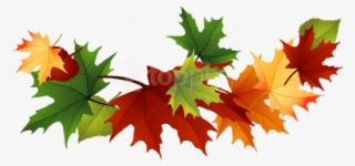 Free Png Download Fall Transparent Leaves Clipart Png - Transparent Fall Leaves Clip Art