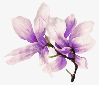 Hand Painted Flower Png Transparent Free