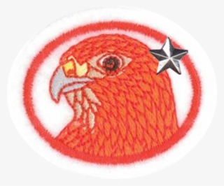 raptors advanced - emblem